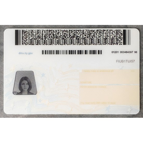 New York (NY) Fake ID
